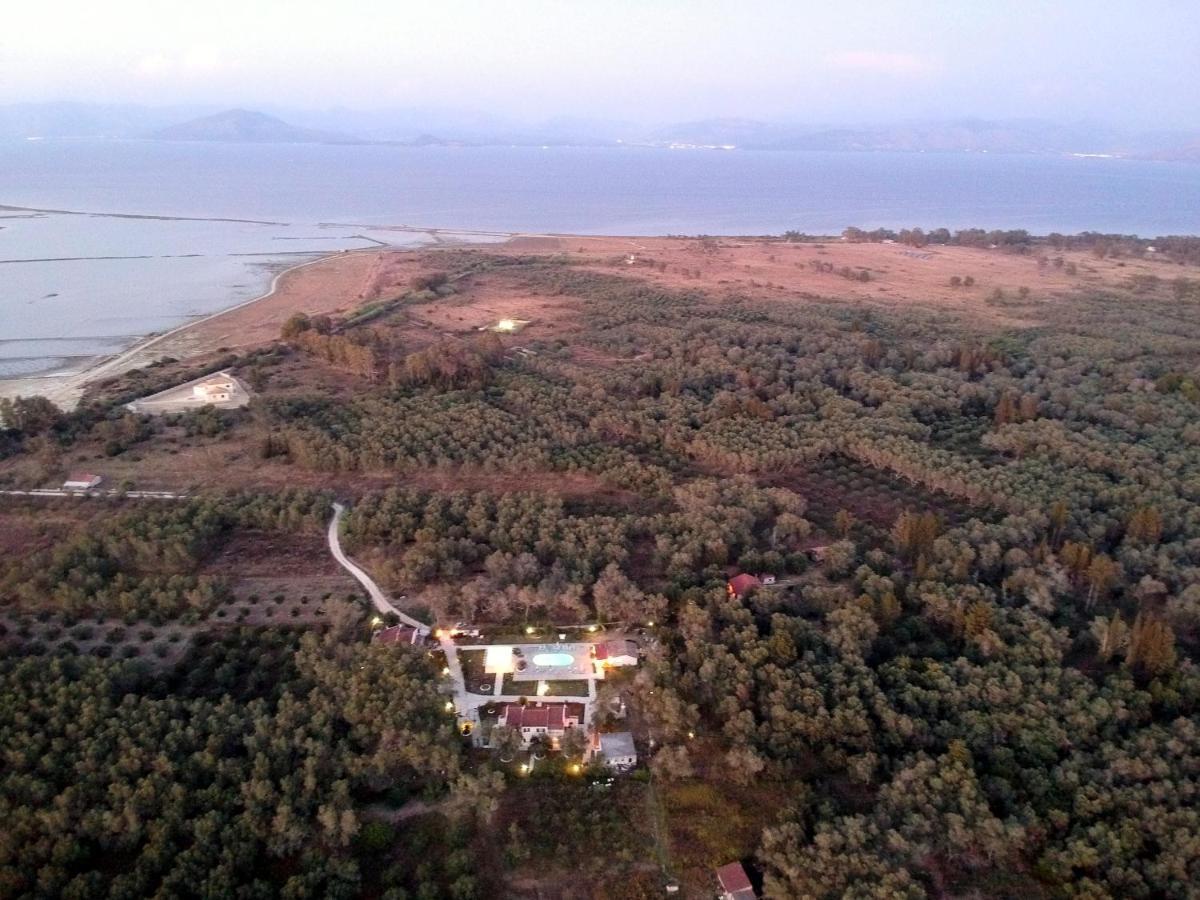 Alykes Family Resort Λευκίμμη Εξωτερικό φωτογραφία